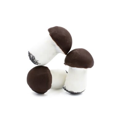 Gingerbread Cookies GRYBUKAI with Icing