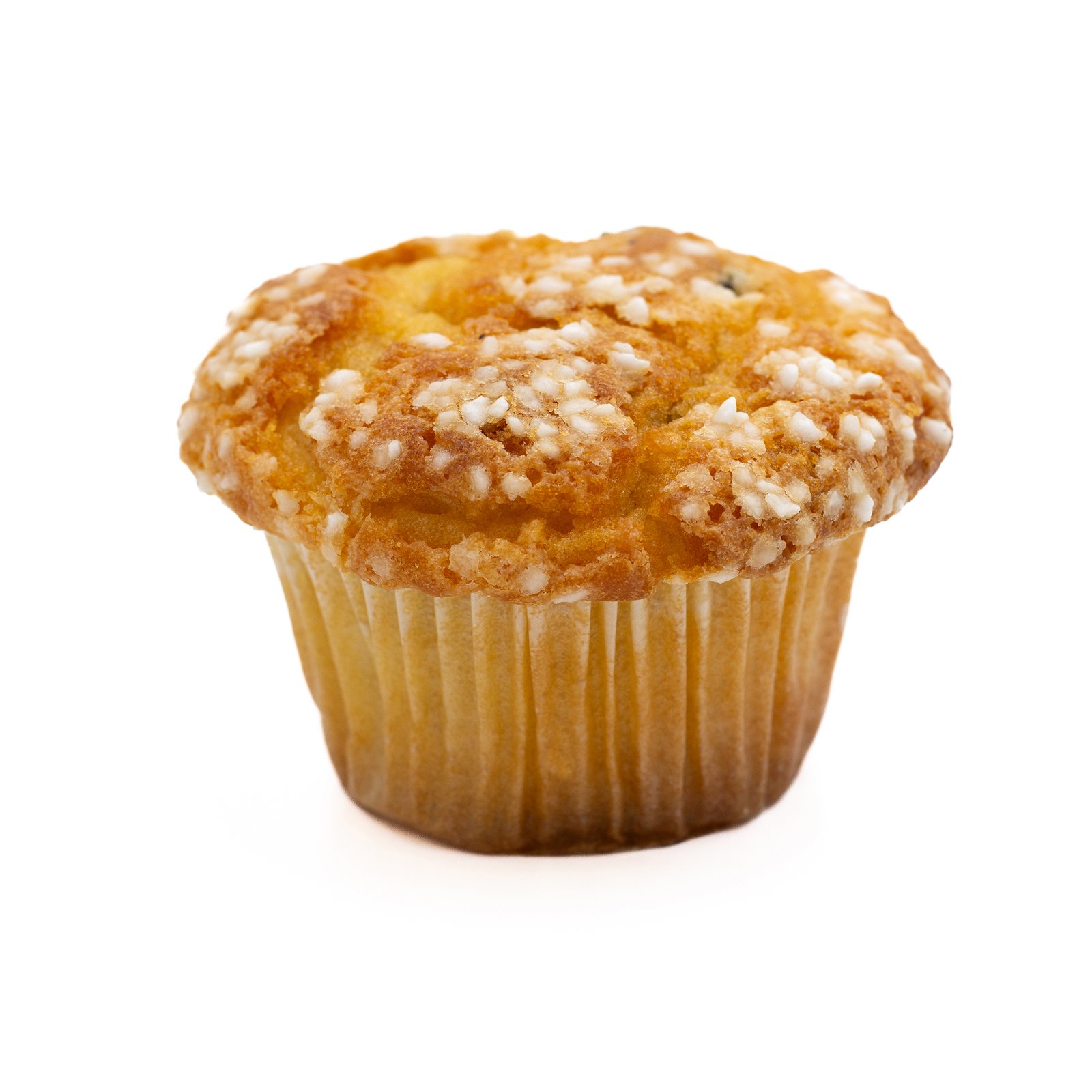 Cupcake with chocolate chips